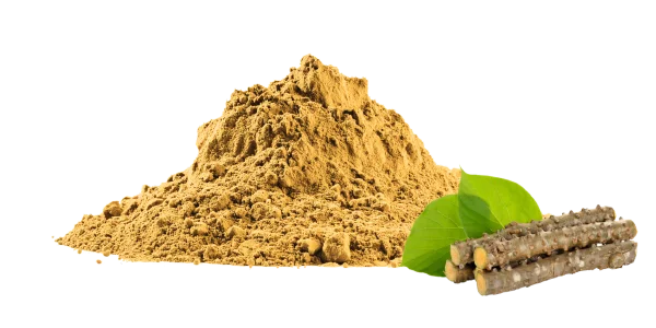 Tinospora Cordifolia Extract Manufacturers and Suppliers