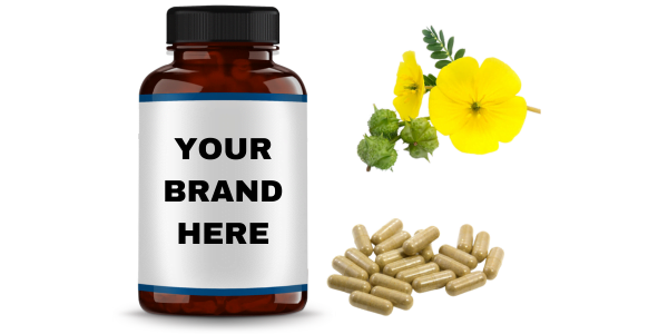 Tribulus Terrestris Extract Capsules Manufacturers and Suppliers