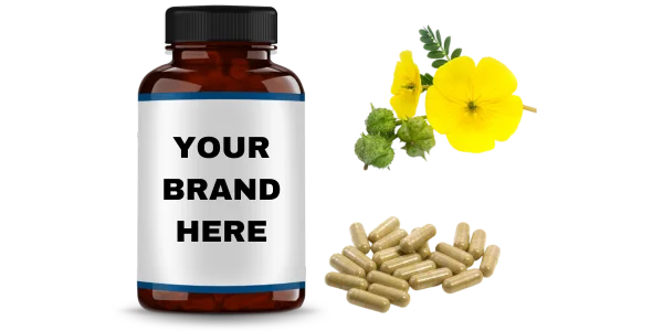 Tribulus Terrestris Extract Capsules Manufacturers and Suppliers