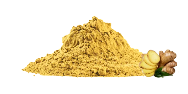 Zingiber Officinale Extract Manufacturers and Suppliers