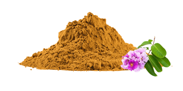 Lagerstroemia Speciosa Extract Manufacturers and Suppliers