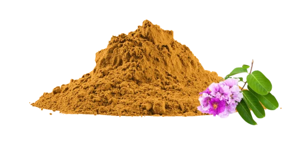 Lagerstroemia Speciosa Extract Manufacturers and Suppliers
