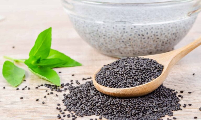 Basil Seeds vs Chia Seeds Comparison