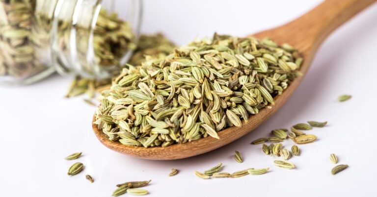 10 Best Fennel Seed Substitutes for Your Recipes [Easy Replacement]